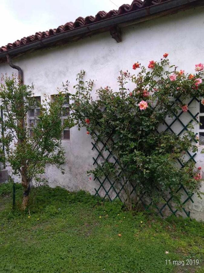Beb Infamiglia Bed and Breakfast Cascinette Eksteriør billede